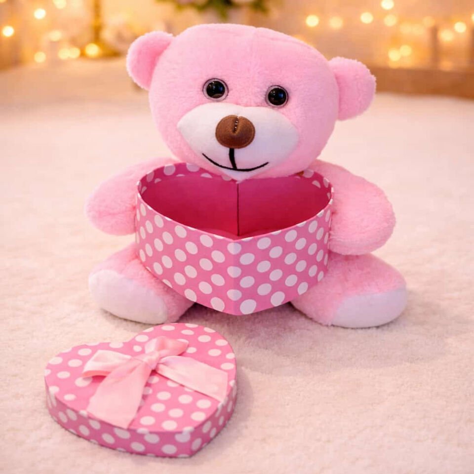 Kutulu Pembe Ayıcık