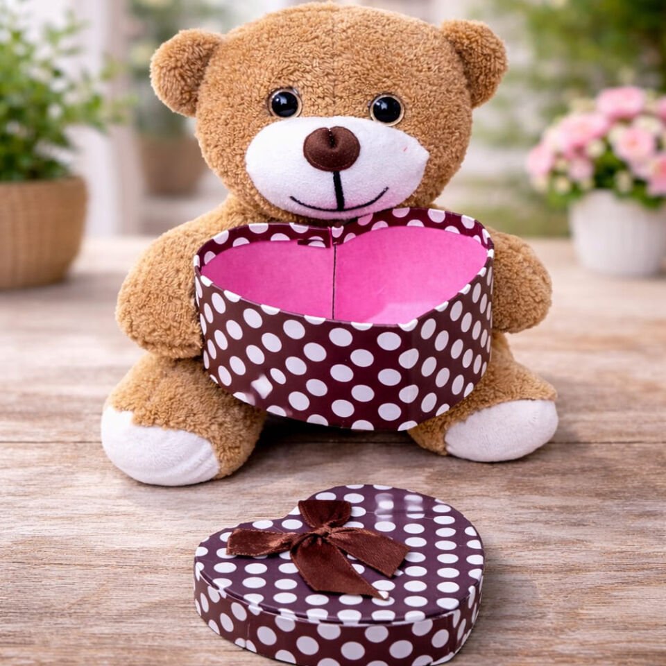 Kutulu Kahverengi Ayıcık