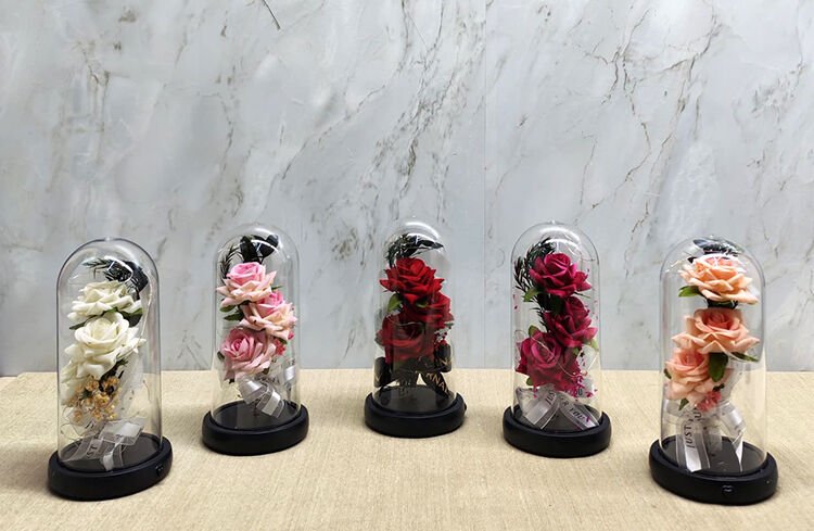 Işıklı Müzikli Cam Fanus İçinde Romantik Gül